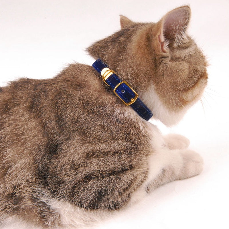 Pet collar